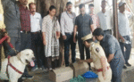 मुंबई में बम धमाके की आतंकी साजिश, कल्याण रेलवे स्टेशन के पास मिले 54 डेटोनेटर, बम स्क्वाड मौके पर