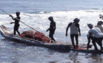 श्रीलंकाई नौसेना के कथित हमले में 3 मछुआरे घायल, पुराने दिन भूल गया पड़ोसी!