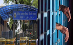 दिल्ली के तिहाड़ जेल में फिर खूनी खेल, हत्या का बदला लेने के लिए दो कैदियों पर जानलेवा हमला