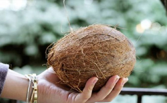 महिलाएं क्यों नहीं फोड़ती हैं नारियल, जानिए क्या है कारण-Why women do not break coconut, know what is the reason