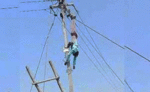 Madhya Pradesh: परमिट लेकर पोल पर चढ़ा कर्मचारी विभाग ने चालू कर दी बिजली, करंट से मौत के बाद घंटों लटका रहा शव