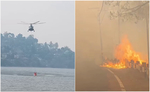 नैनीताल के जंगलों में लगी आग हुई विकराल, वायुसेना ने संभाला मोर्चा, हेलीकॉप्टर से बरसाया जाएगा पानी