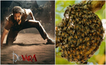 मधुमक्खियों ने देवारा फिल्म की टीम पर किया अटैक, मची अफरा-तफरी दो जख्मी